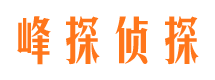 江岸侦探公司